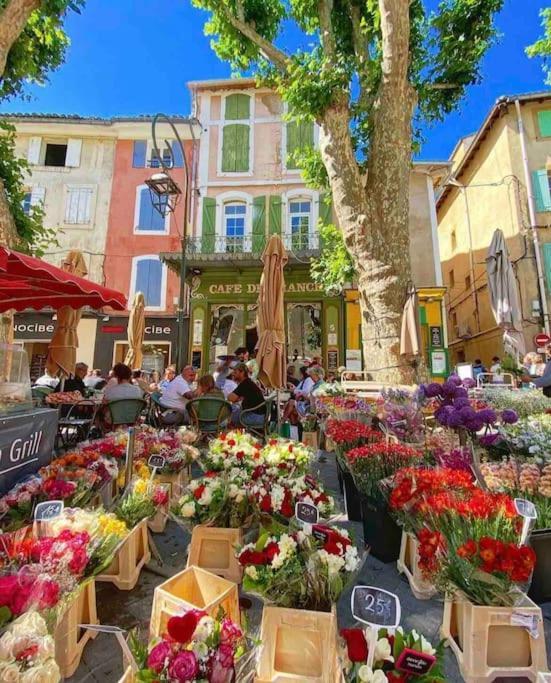 La Loge Familiale: 110M2, Place Rose Goudard, Ac LʼIsle-sur-la-Sorgue Esterno foto